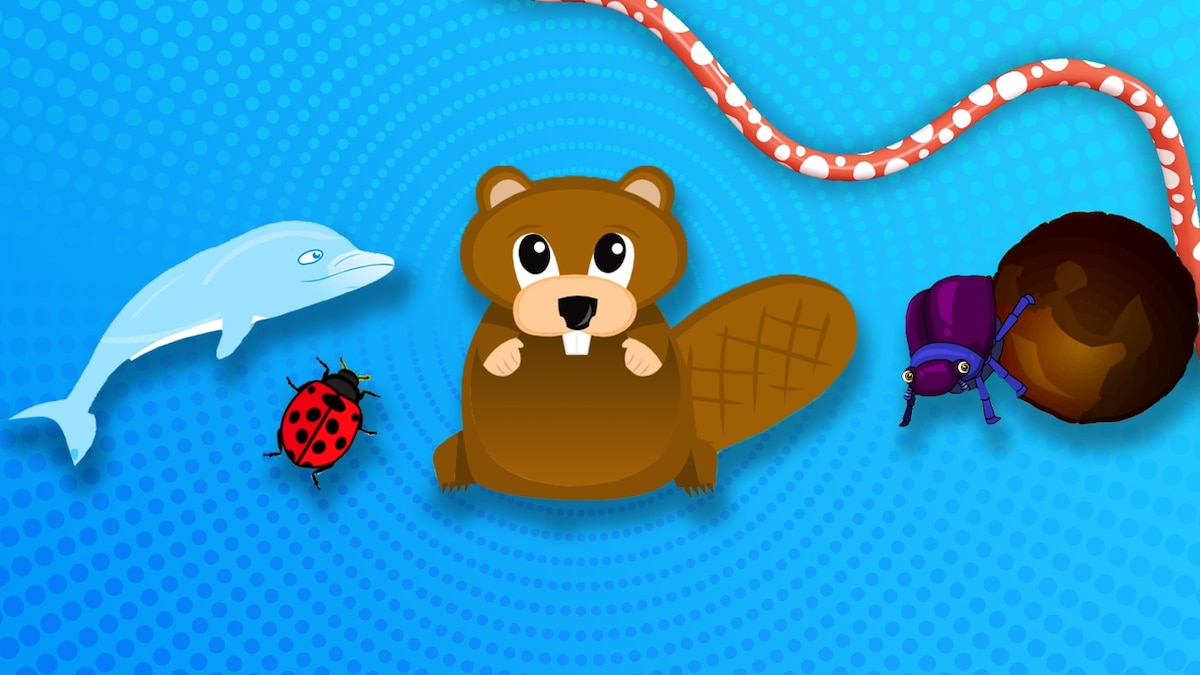 Juegos de National Geographic Kids — National Geographic Kids
